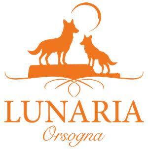 Zwei orangefarbene Wölfe mit Mond und Schrift "Lunaria Orsogna", dekorativ.